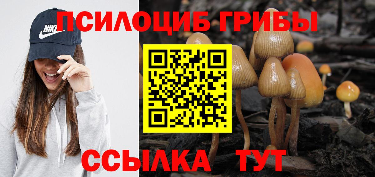 Галлюциногенные грибы GOLDEN TEACHER  Вход с VPN  Псилоцибиновые грибы мицелий  Волхов 